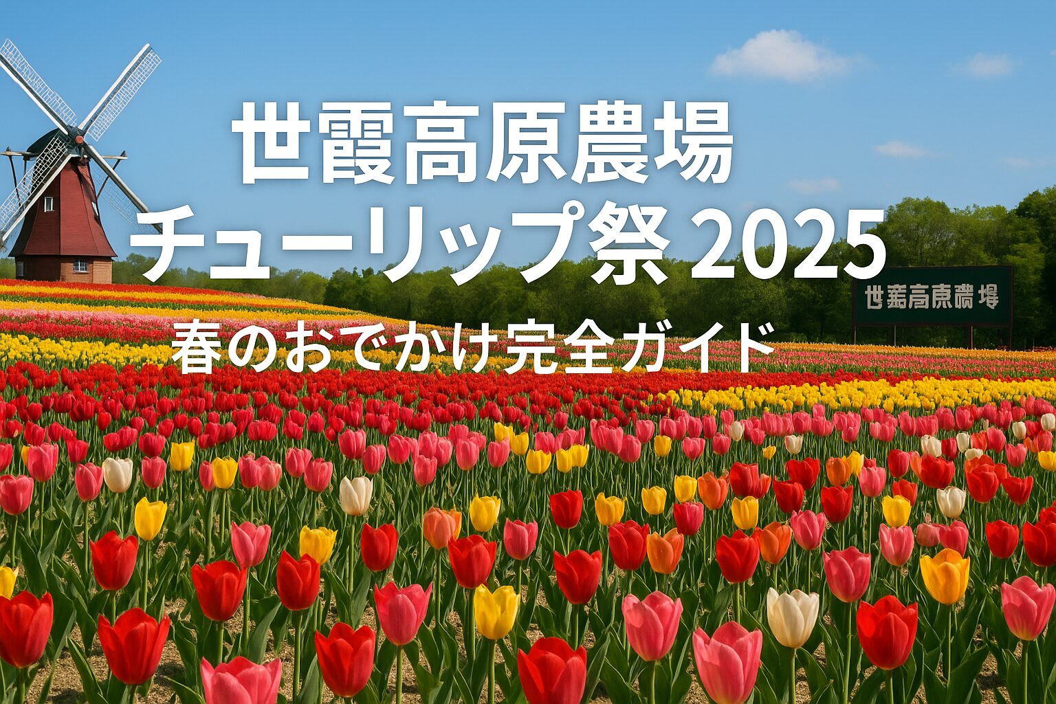 あなた: 2025年版｜世羅高原農場チューリップ祭を完全ガイド！見頃・開花状況・アクセス・入園料まとめ