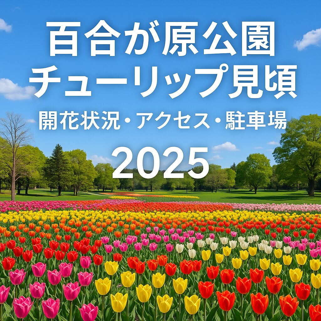 【2025年最新版】百合が原公園のチューリップ開花情報！見頃・アクセス・駐車場ガイド