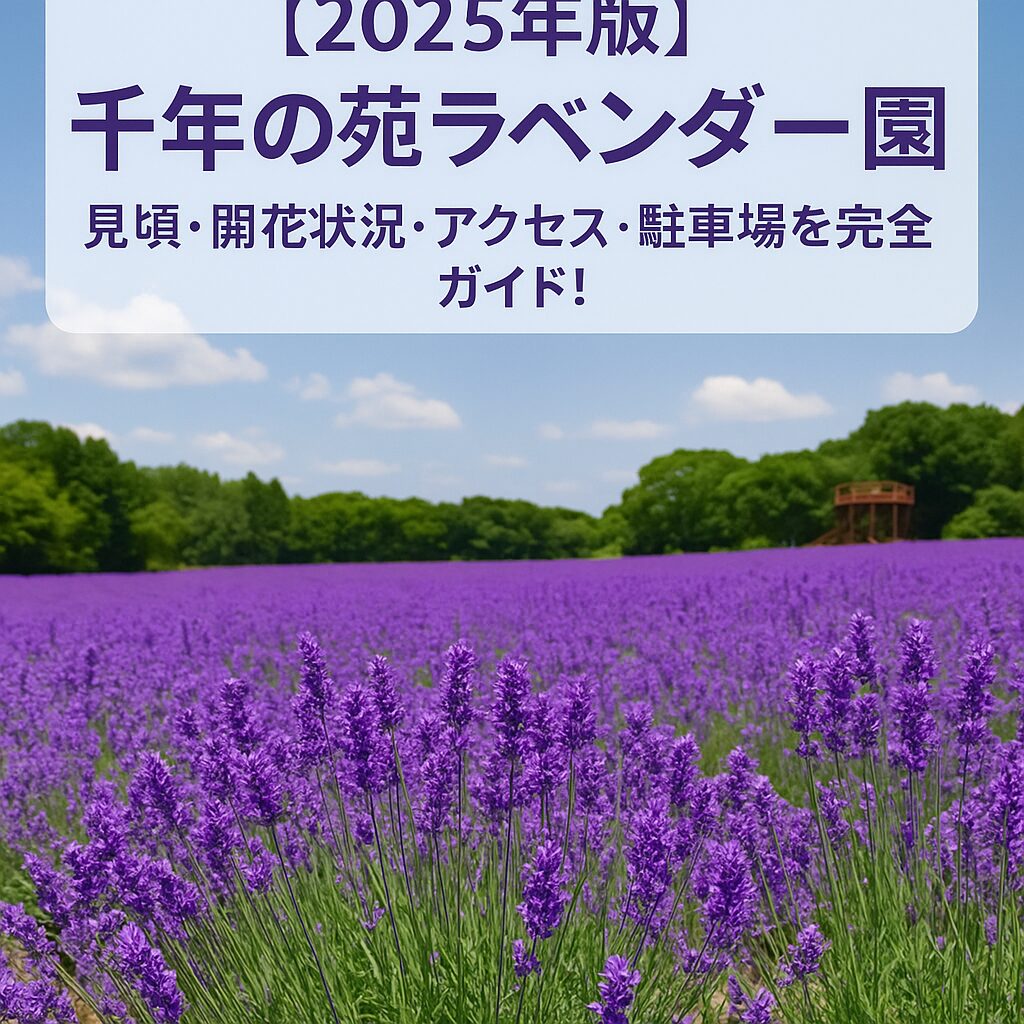 【2025年版】千年の苑ラベンダー園の見頃・開花状況・アクセス・駐車場を完全ガイド！