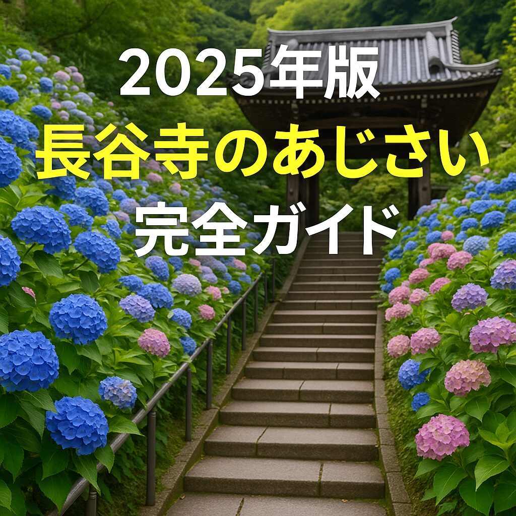 【2025年版】長谷寺の紫陽花｜見頃・開花状況・アクセス・駐車場ガイド完全版