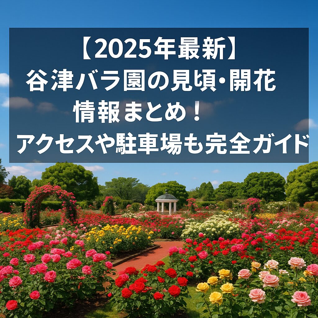 【2025年最新】谷津バラ園の見頃・開花状況・アクセス完全ガイド！駐車場やおすすめ撮影スポットも紹介