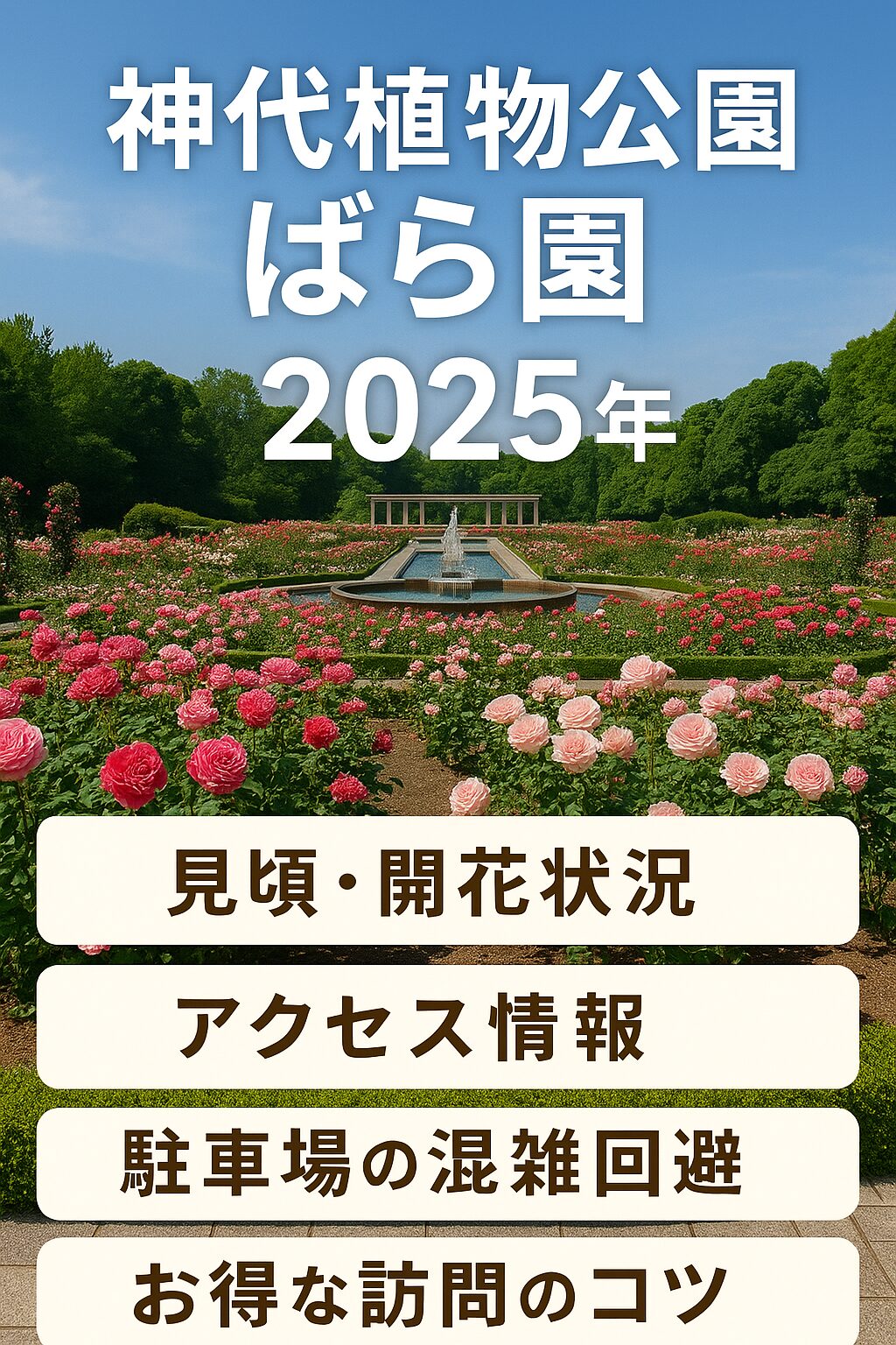 神代植物公園ばら園2025｜見頃・開花状況・アクセス・駐車場まで徹底ガイド！