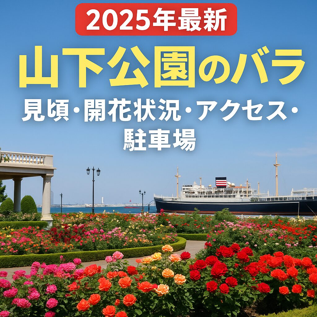 【2025年最新】山下公園のバラの見頃と開花状況を完全ガイド！アクセス・駐車場情報も