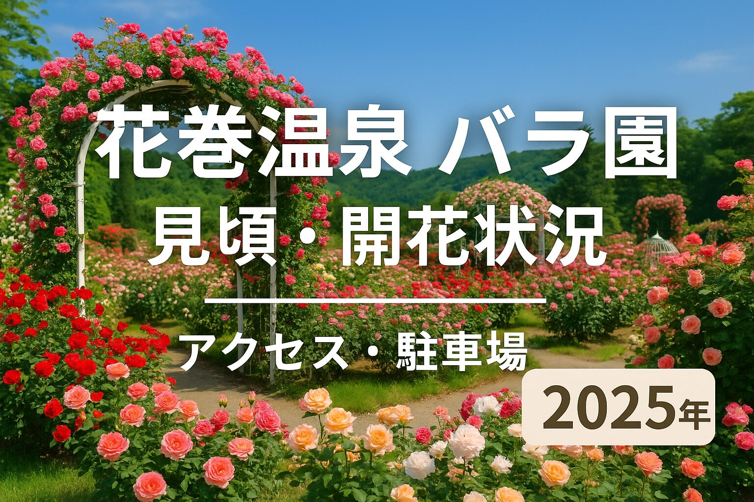 【2025年最新】花巻温泉バラ園の見頃・開花状況・アクセス・駐車場まとめ