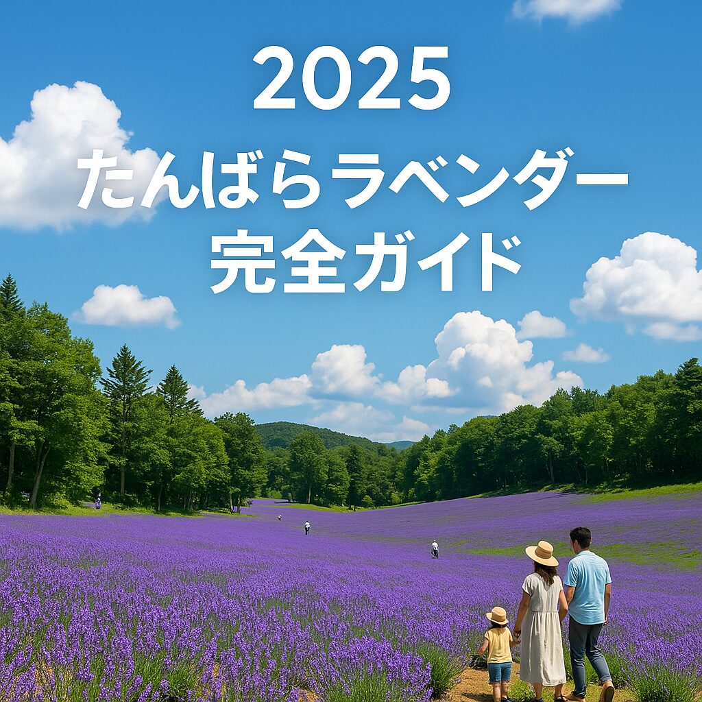 【2025年最新版】たんばらラベンダーパーク完全ガイド｜見頃・開花状況・アクセス・駐車場情報も！