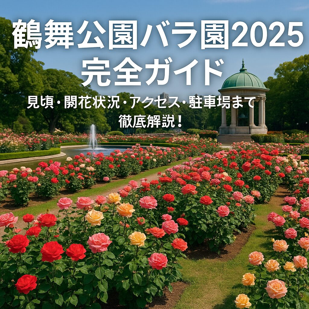 鶴舞公園バラ園2025完全ガイド｜見頃・開花状況・アクセス・駐車場まで徹底解説！