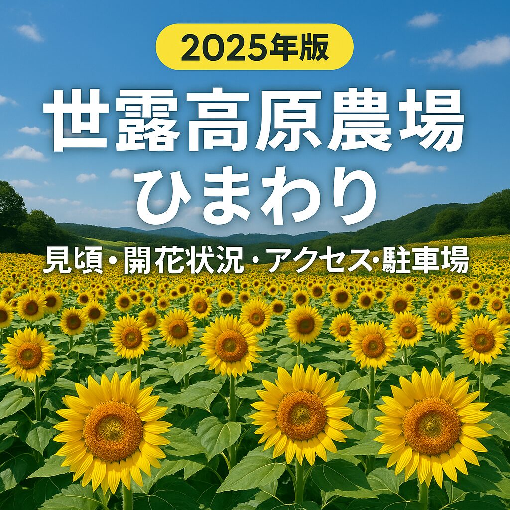【2025年版】世羅高原農場ひまわり完全ガイド｜見頃・開花状況・アクセスまとめ