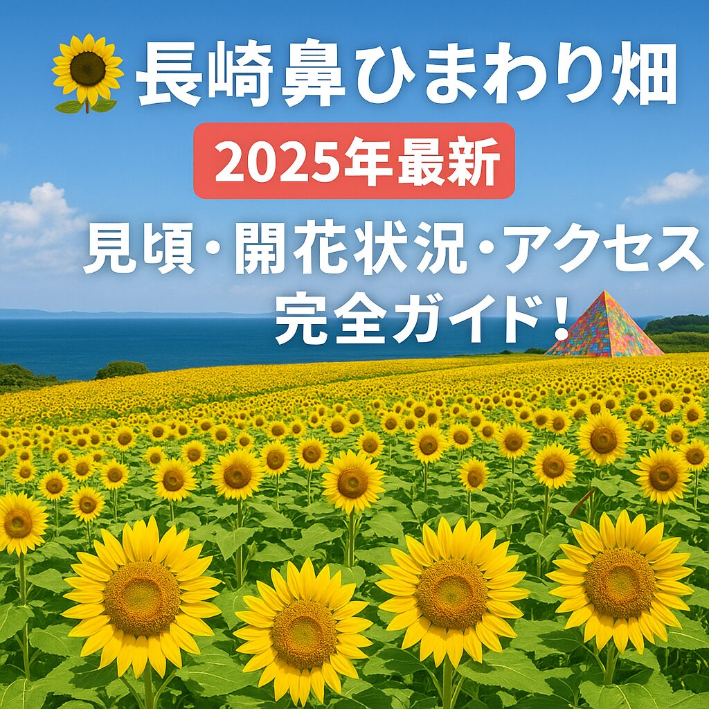 【2025年最新】長崎鼻ひまわり畑の見頃・開花状況・アクセス完全ガイド！