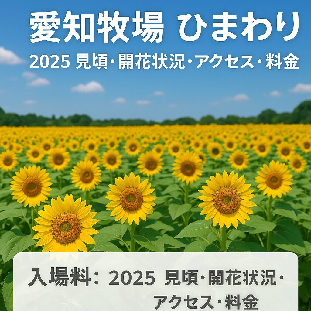 【2025年最新】愛知牧場ひまわり完全ガイド｜見頃・開花状況・アクセス・料金まとめ