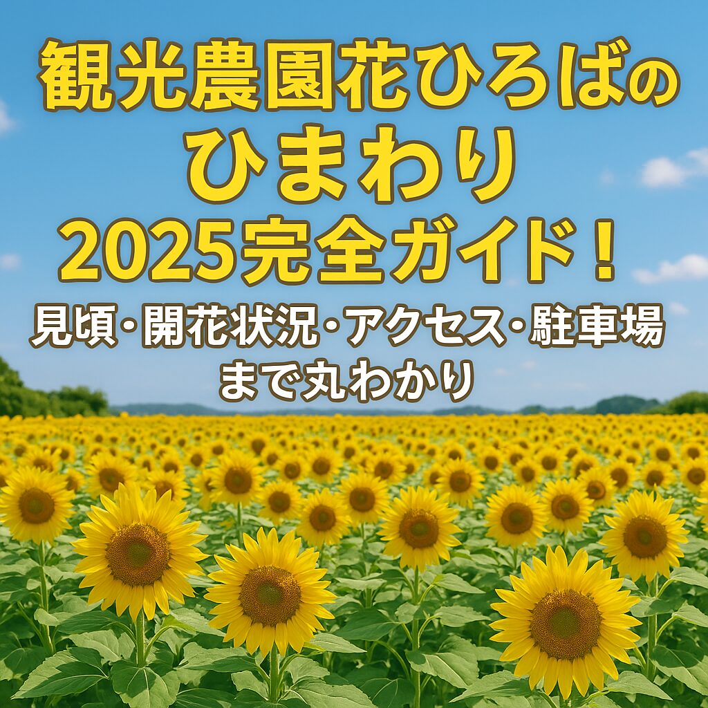 南知多のひまわり畑2025完全ガイド｜観光農園花ひろばの見頃・アクセス・駐車場情報
