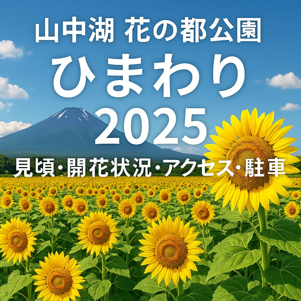 山中湖ひまわり2025年見頃いつ？花の都公園の開花状況＆アクセス完全ガイド