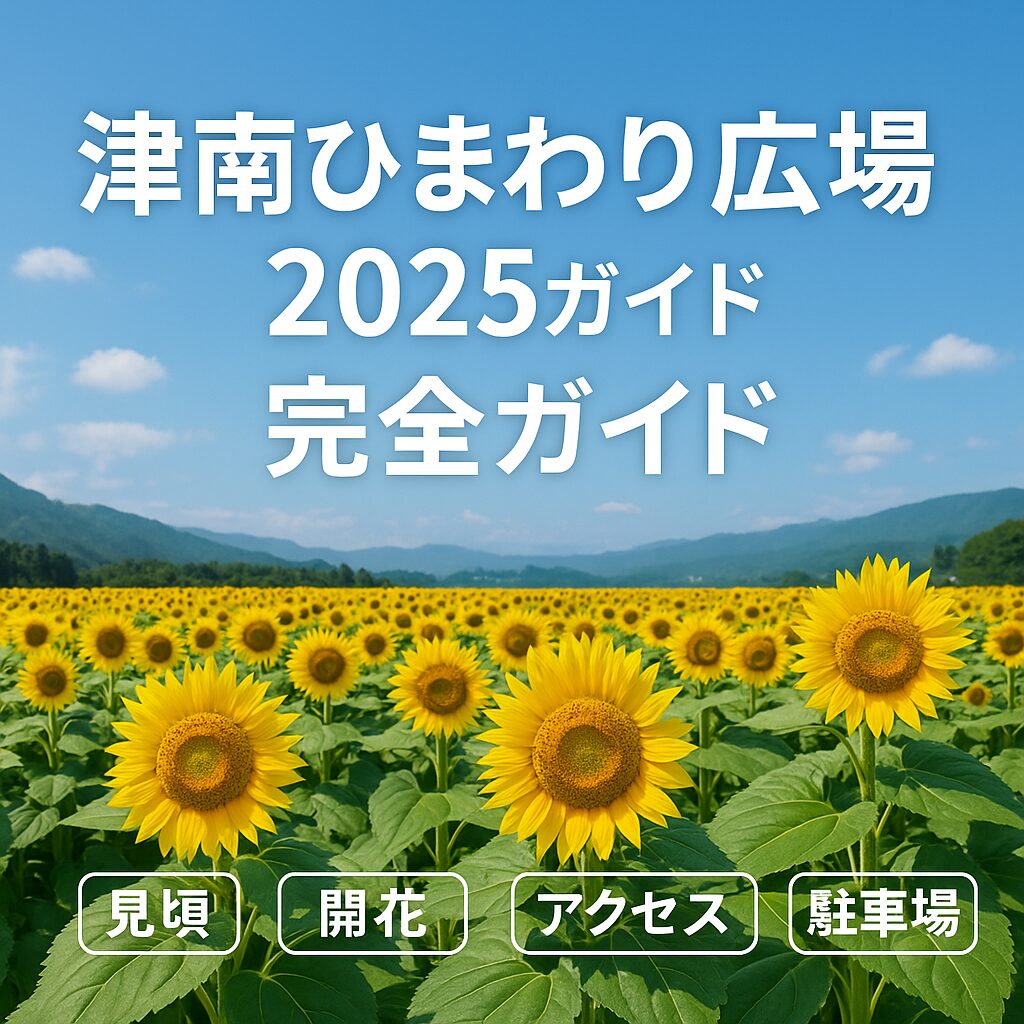 津南ひまわり広場2025｜見頃・開花・アクセス・駐車場ガイド完全版！