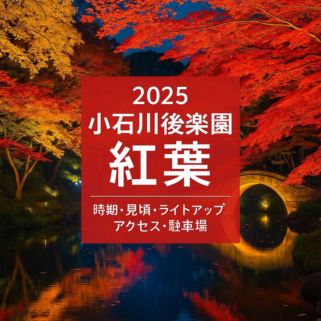 【2025年最新】小石川後楽園の紅葉完全ガイド｜見頃・ライトアップ・アクセスまとめ