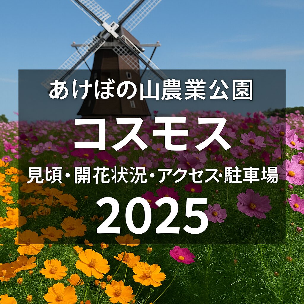 あけぼの山農業公園コスモス2025｜見頃・アクセス・駐車場ガイド