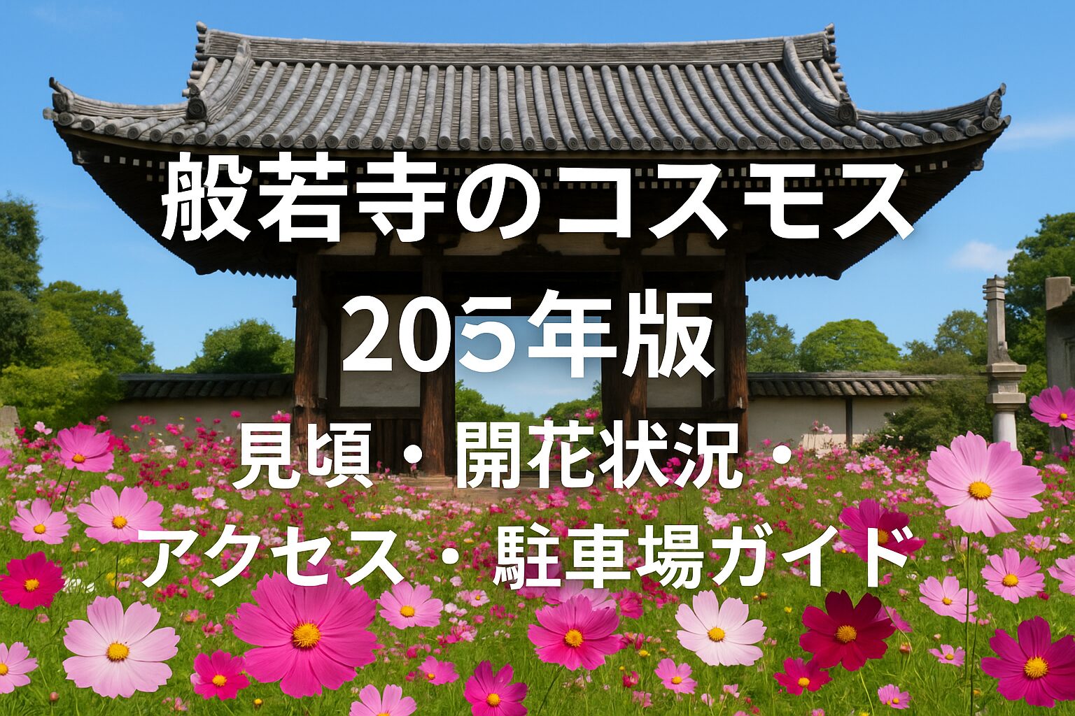 奈良・般若寺のコスモス2025｜見頃・アクセス・駐車場完全ガイド