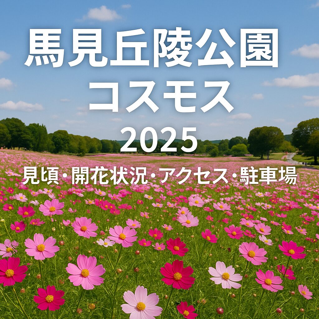 【2025年最新】馬見丘陵公園のコスモスが見頃に！開花状況・アクセス・駐車場ガイド