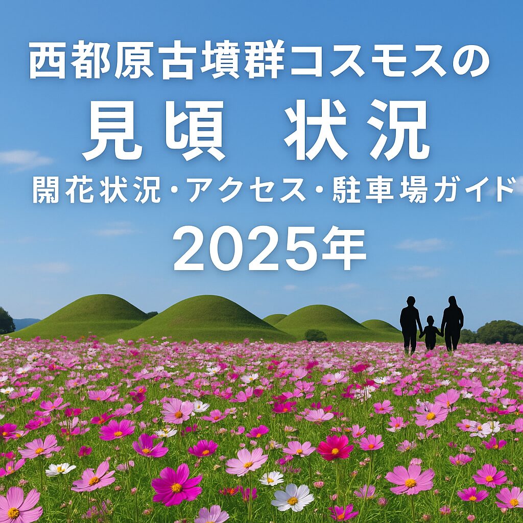 【2025年版】西都原古墳群コスモスの見頃・開花状況・アクセス完全ガイド