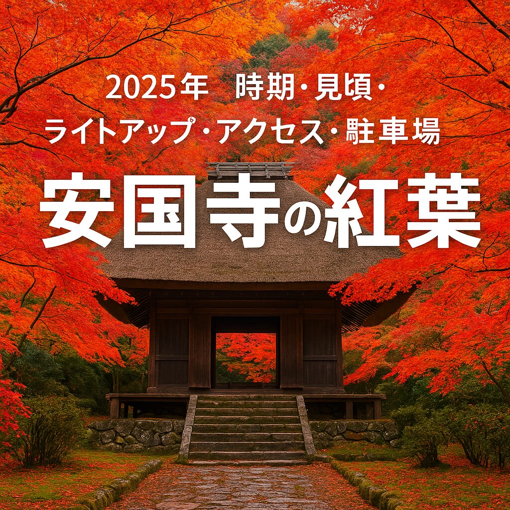 【2025年最新版】安国寺の紅葉見頃・ライトアップ・アクセス完全ガイド