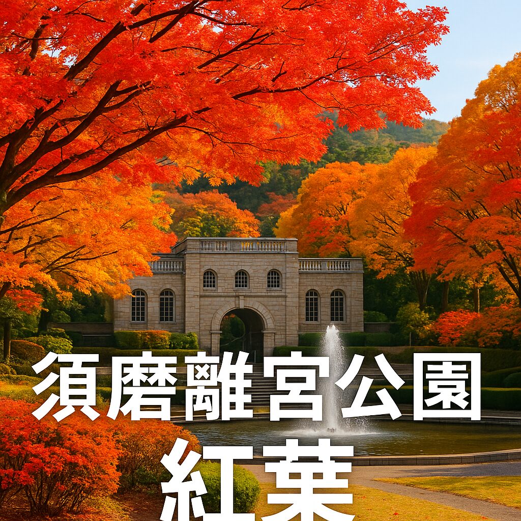 須磨離宮公園の紅葉2025｜見頃・ライトアップ・アクセス・駐車場まで徹底ガイド！