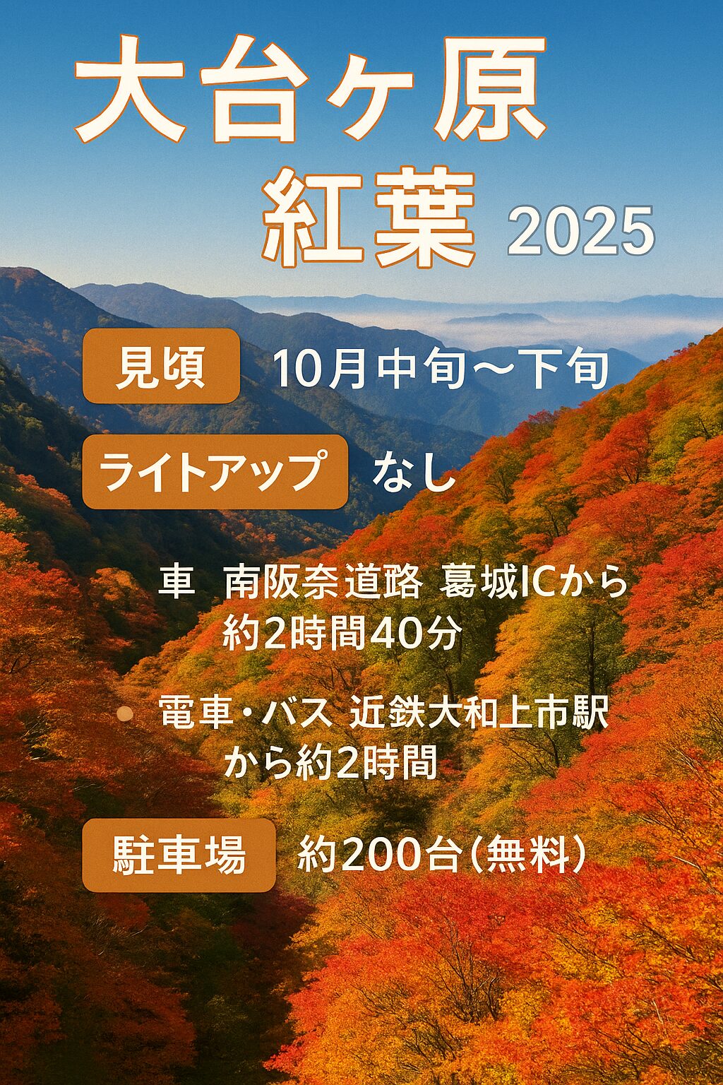 【2025年最新版】大台ケ原の紅葉完全ガイド｜見頃・アクセス・駐車場・ライトアップ情報まとめ