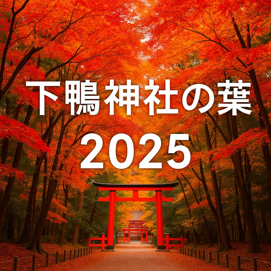 【2025年版】下鴨神社の紅葉完全ガイド｜見頃・アクセス・ライトアップ情報まとめ