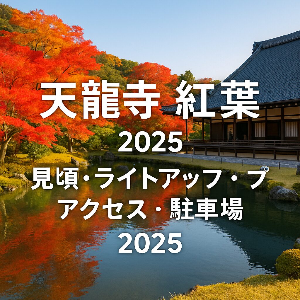 【2025年最新版】天龍寺の紅葉見頃・ライトアップ・アクセス・駐車場まとめ完全ガイド！