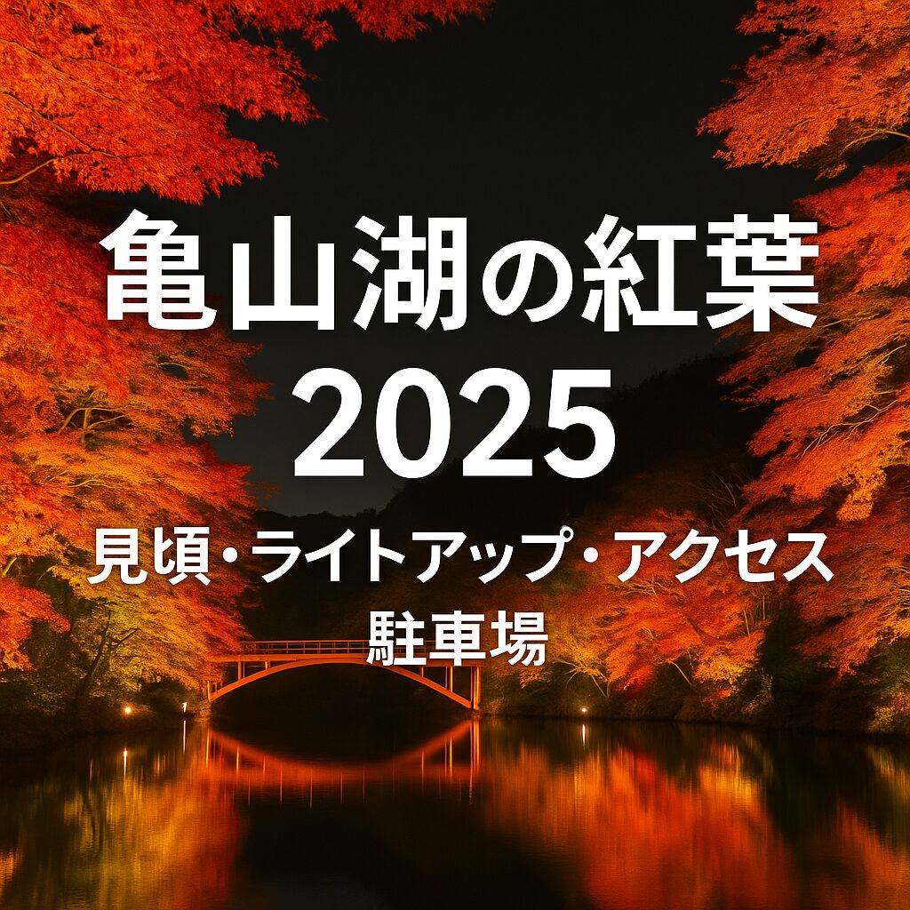 【2025年最新版】亀山湖の紅葉見頃・ライトアップ・アクセス完全ガイド！