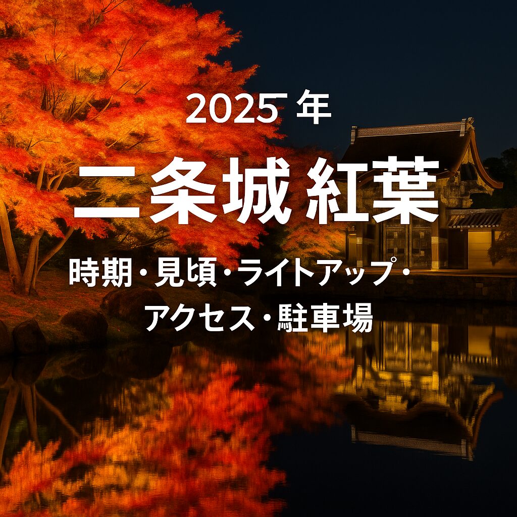 【2025年版】二条城の紅葉が見頃に！ライトアップ・アクセス・駐車場情報まとめ