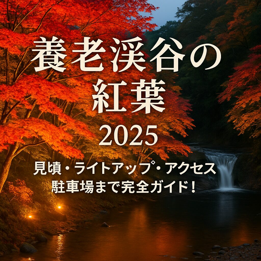 養老渓谷の紅葉2025｜見頃・ライトアップ・アクセス完全ガイド！